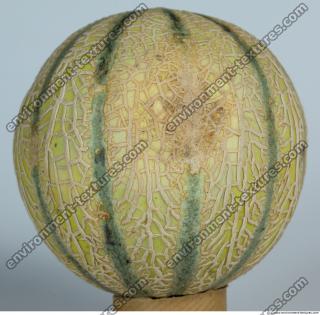 Melon Galia 0006